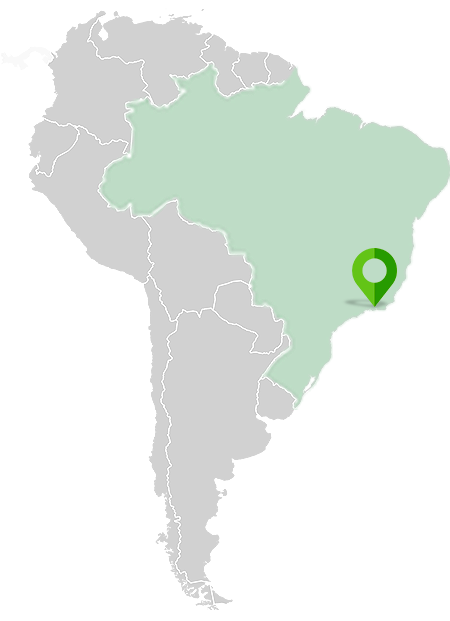 The Green Coast